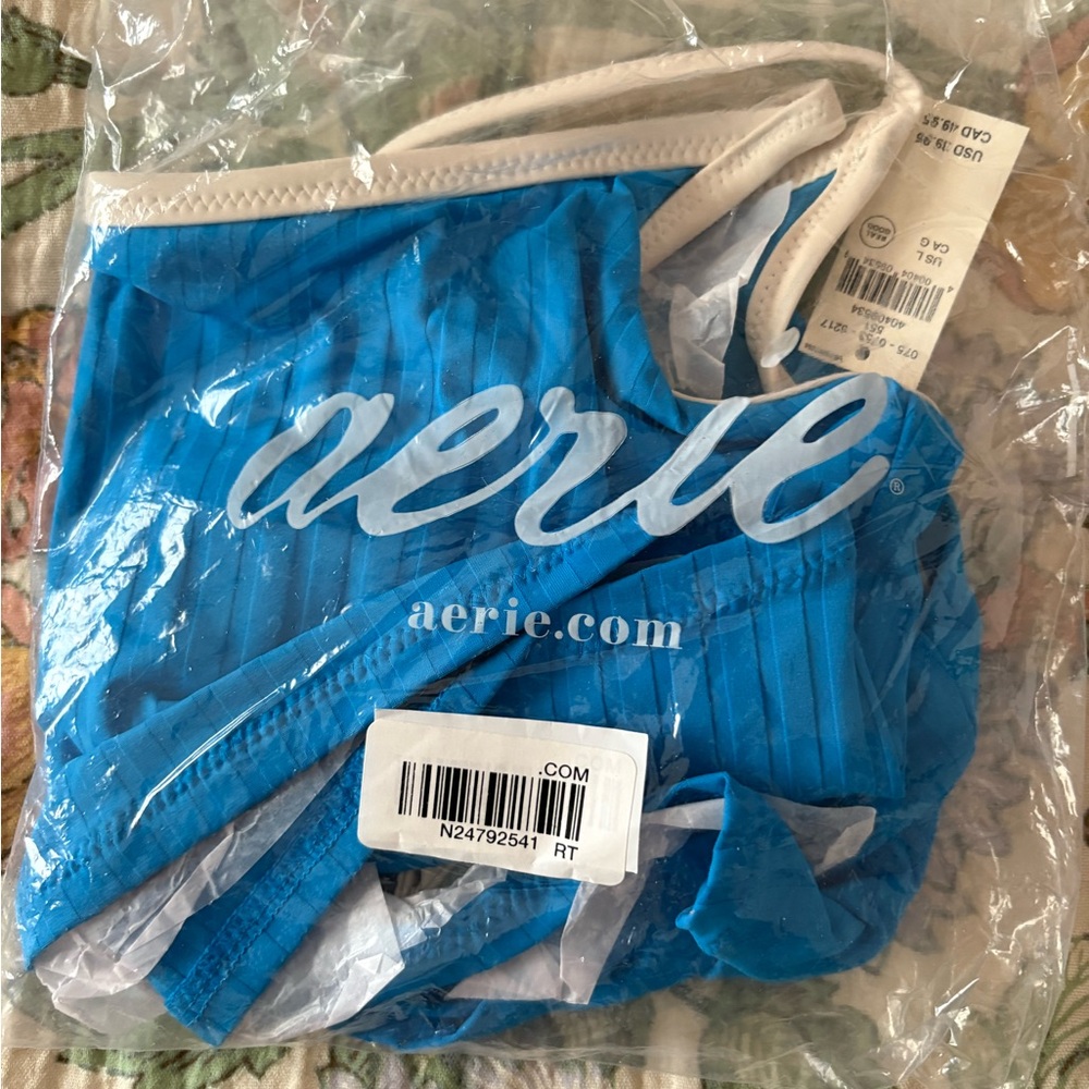 Aerie Blue Bikini